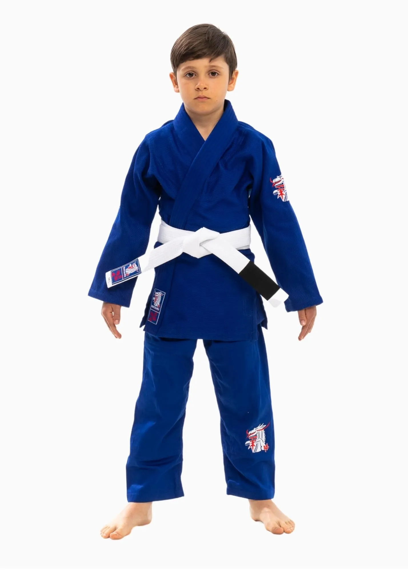 Basic Gi