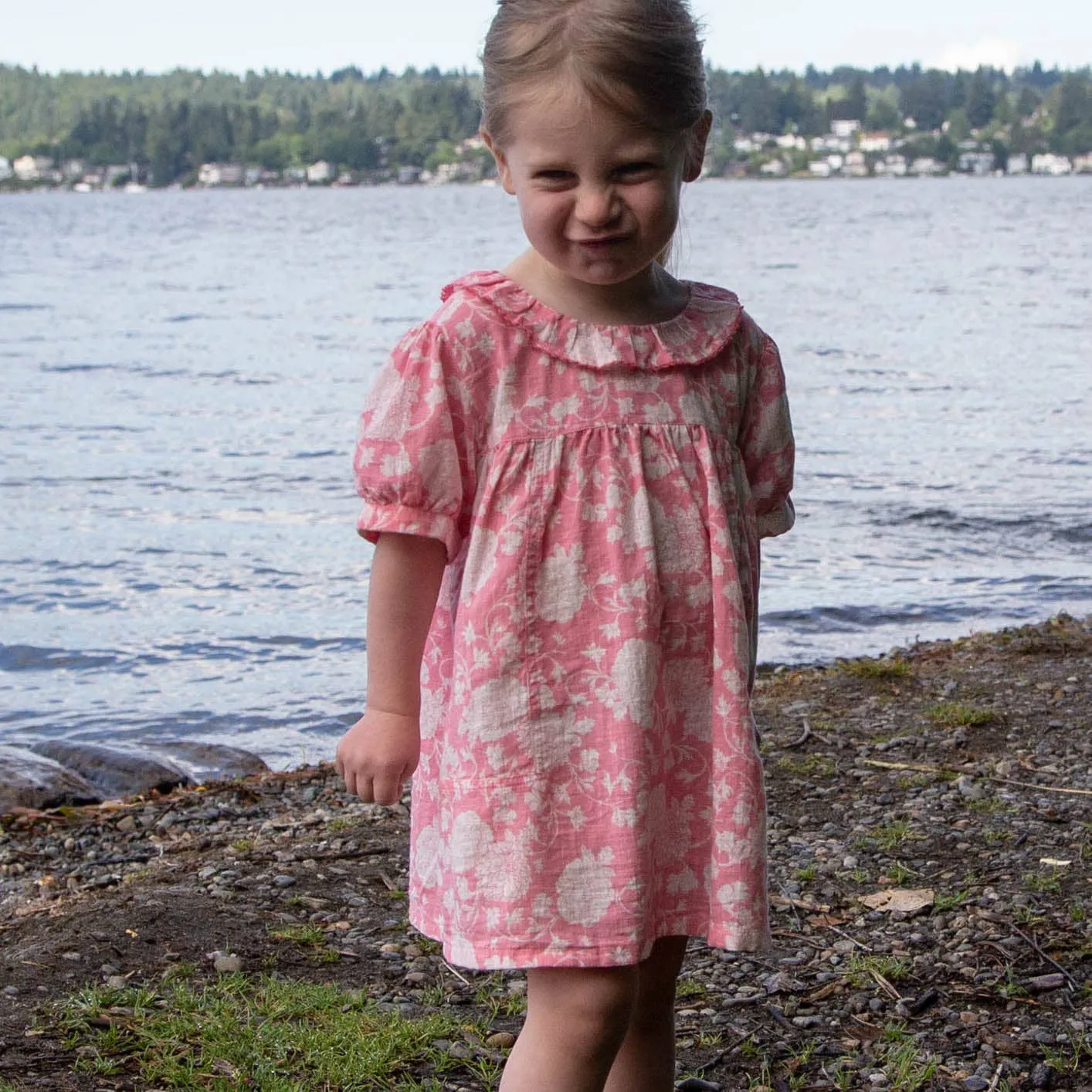 Beet World - Toddler Emily Dress with Ruffle Collar | Lille Pink Floral: 6-12 mo