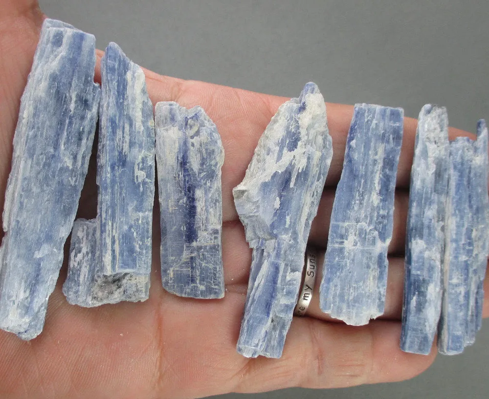 Blue Kyanite Crystal Blades Raw 5pcs J217**