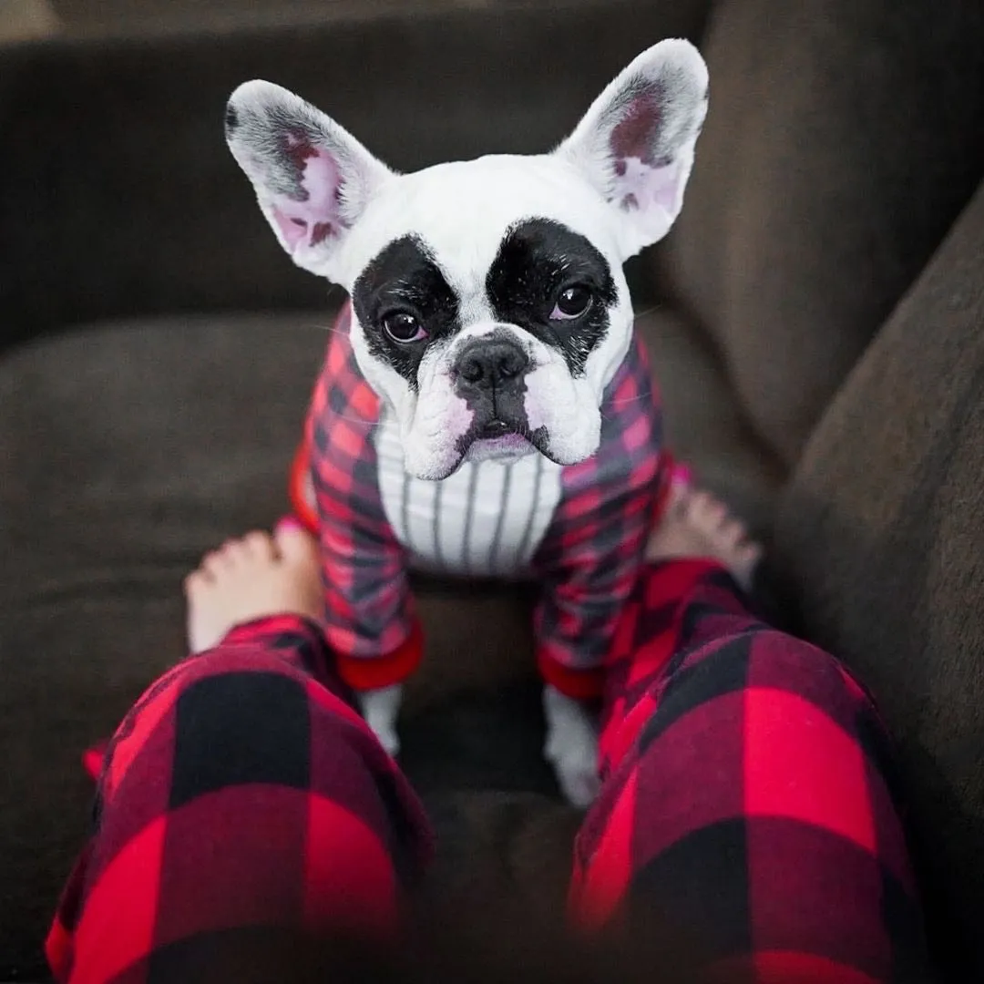 French Bulldog Pajamas | Frenchie Clothing | Buffalo Plaid