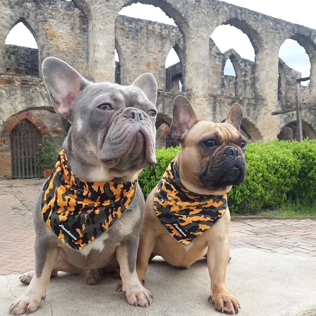 Frenchiestore Dog Cooling Bandana | Mustard Ultimate Camo