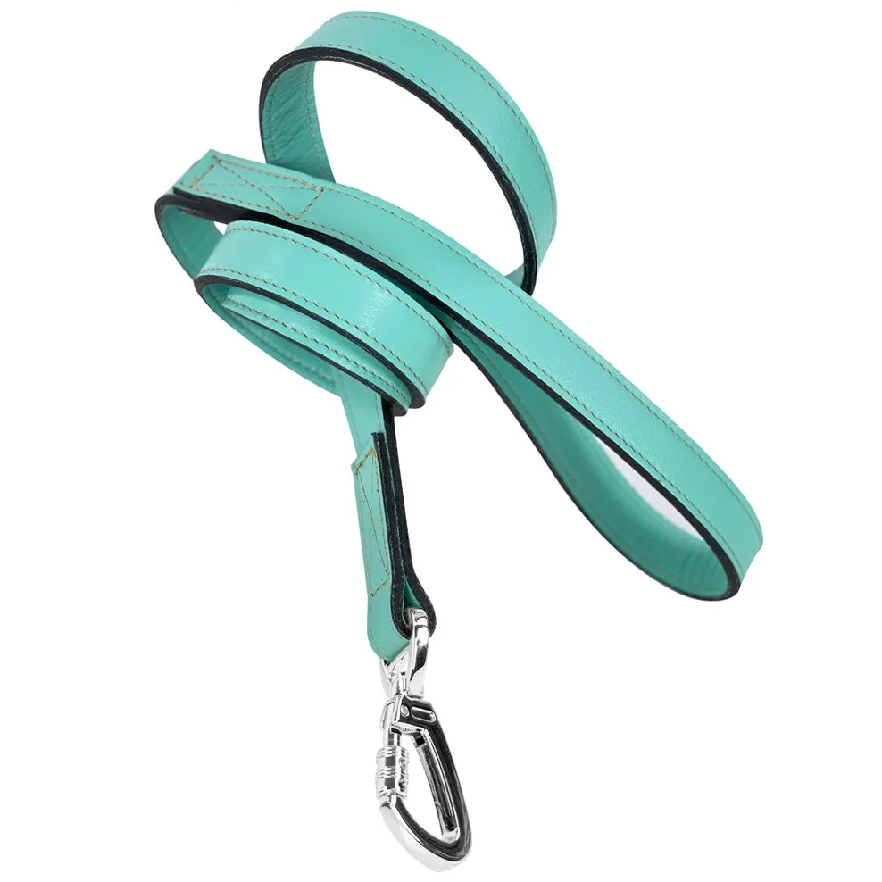 Hartman Dog Leash in Turquoise & Nickel