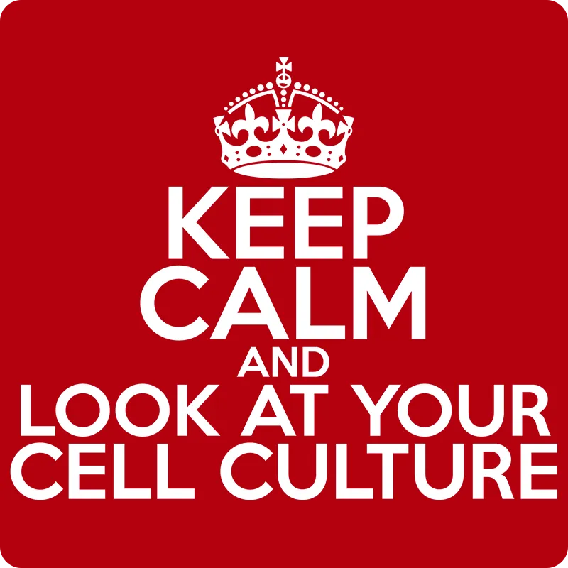 "Keep Calm and Look At Your Cell Culture" (white) - Men's T-Shirt