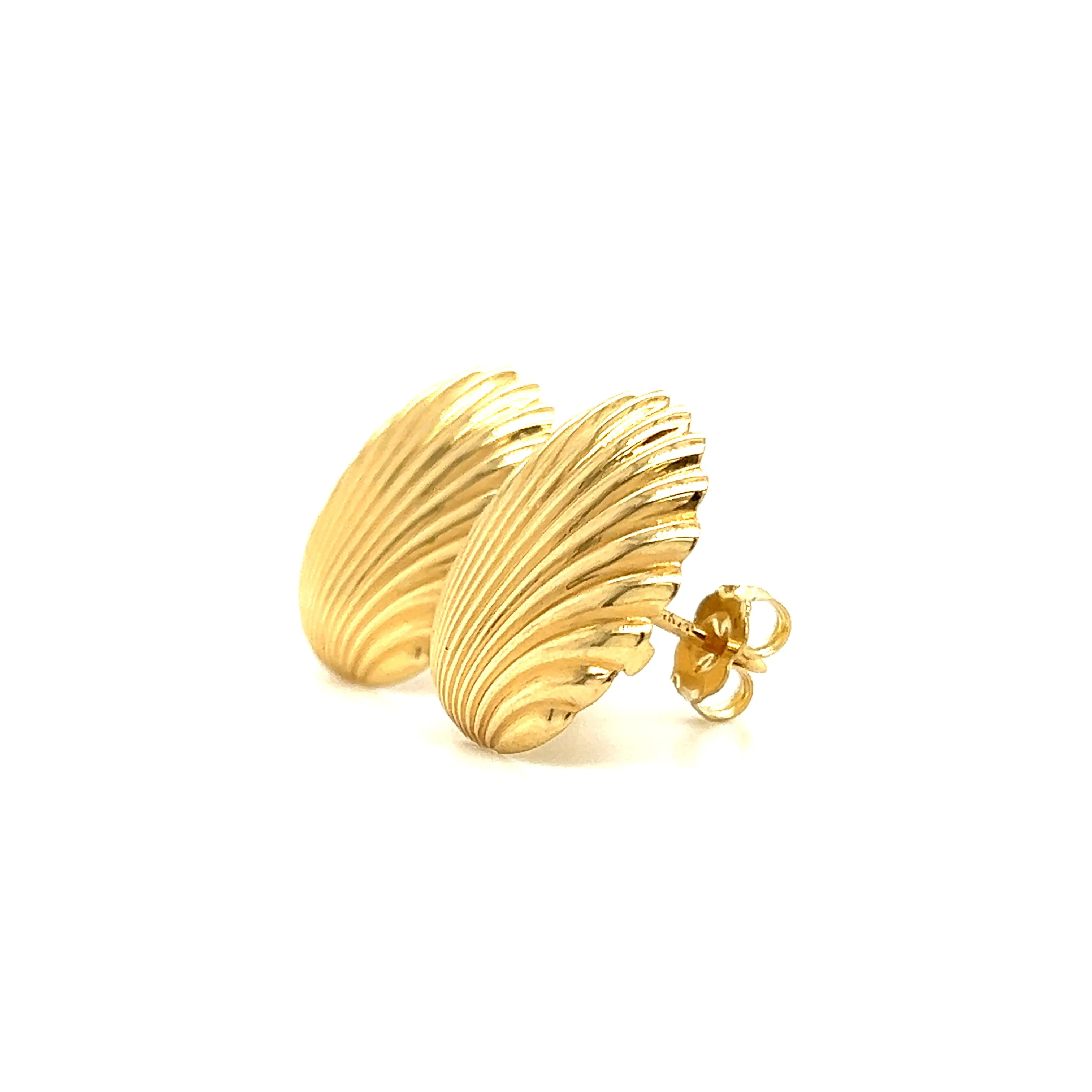 Scallop Post Earrings in 14K Yellow Gold