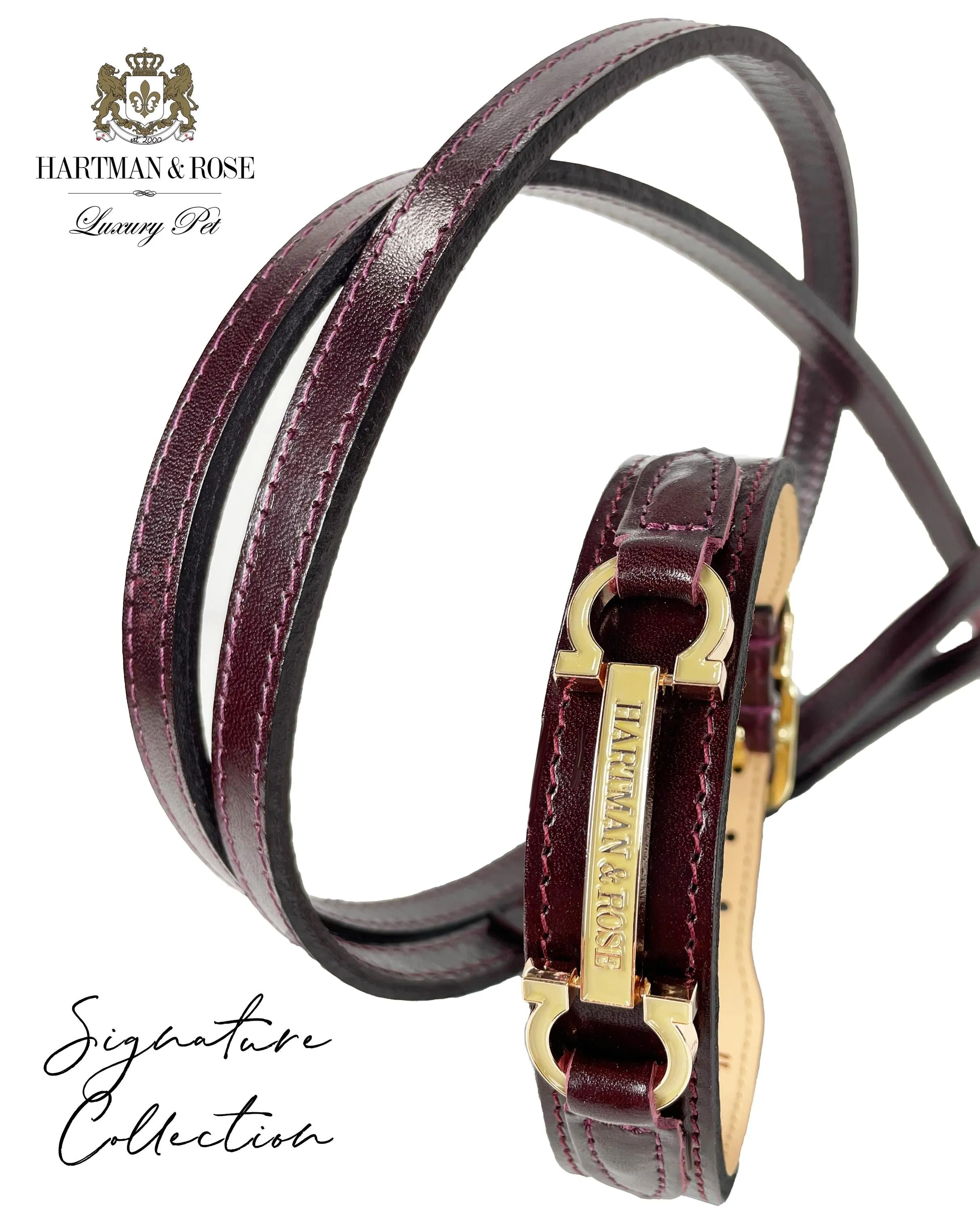 Signature Dog Collar in Bordeaux & Gold